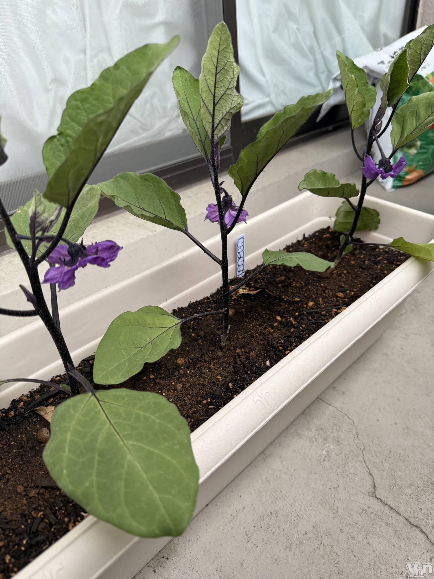 ���ܥ���Х��顦�����CLUB WONDER(����� ������) ��2025ǯ5��4���̥�֥����ֺ�����🌙��