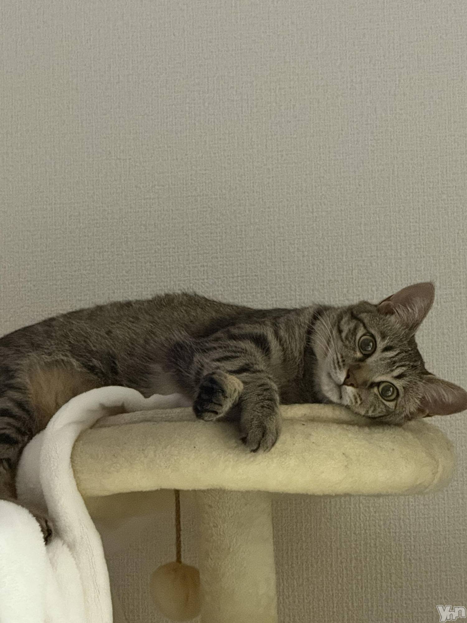 ���ܥ���Х��顦�����CLUB WONDER(����� ������) ��2025ǯ6��26���̥�֥����ֺ����⤤����ʤɡ���