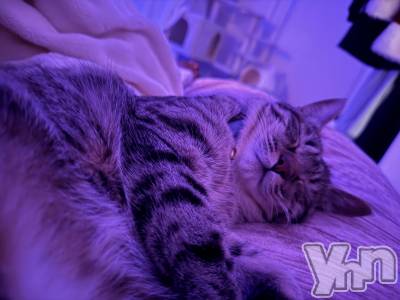 ���ܥ���Х��顦�����CLUB WONDER(����� ������) �����(27)��3��28���̥�֥����֤��礦�⡼����