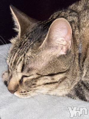 ���ܥ���Х��顦�����CLUB WONDER(����� ������) �����(27)��4��30���̥�֥����֤��äȡ�