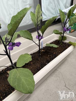 ���ܥ���Х��顦�����CLUB WONDER(����� ������) �����(27)��5��4���̥�֥����ֺ�����🌙��