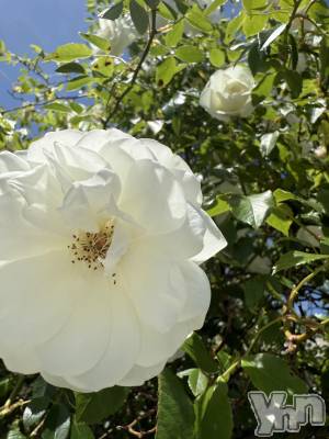 ���ܥ���Х��顦�����CLUB WONDER(����� ������) �����(27)��5��11���̥�֥����֤��Ȥ���☔️��