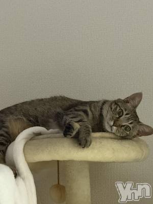 ���ܥ���Х��顦�����CLUB WONDER(����� ������) �����(27)��6��26���̥�֥����ֺ����⤤����ʤɡ���