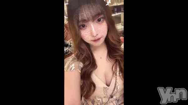 ��🐶🩵��