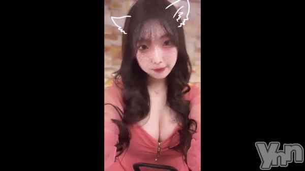 ��🐰🤍��