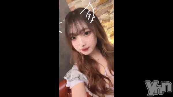 ��🐶🩵��