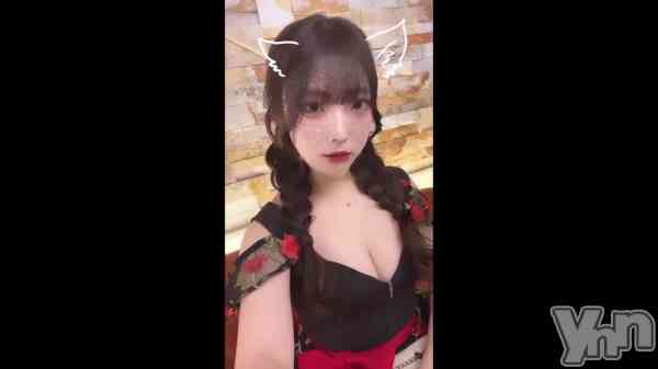 ��🐶🤍��