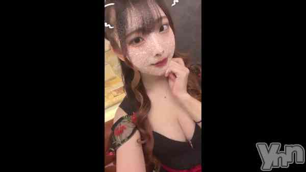 ��🐶🩵��