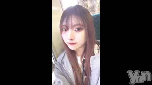 ��🐰🌷��