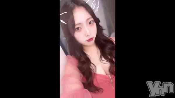 ��🐰🌷🤍��