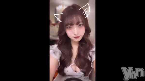 ��🐈🤍��