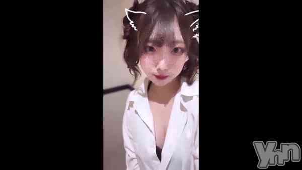 ��🐰🤍��