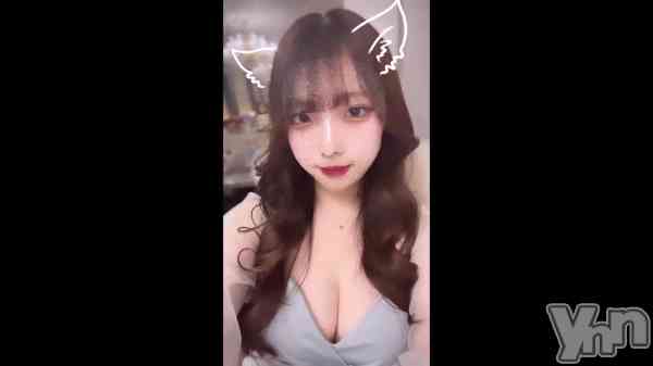 ��🐰🌷🤍��