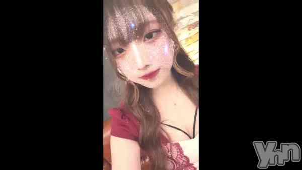 ��🐶🌷��