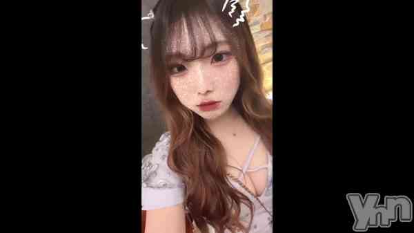 ��🐶🫧🤍��