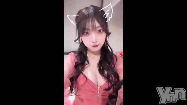 ��🐰🌷🤍��