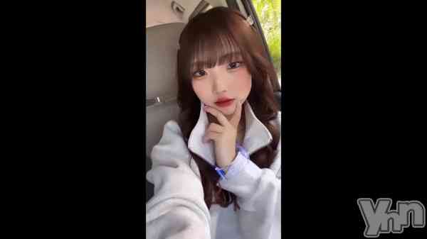 ��🐶🤍��