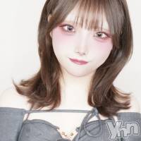 �����(27) ��Ĺ147cm�����ܥ���Х��顦����� CLUB WONDER(����� ������)���ҡ�