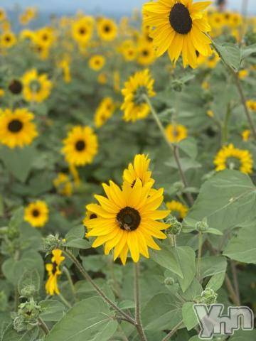 甲府デリヘル甲府人妻隊(コウフヒトヅマタイ) あんり(40)の8月5日写メブログ「おはよう～」