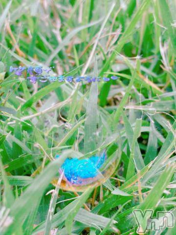 甲府デリヘル甲府人妻隊(コウフヒトヅマタイ) あんり(40)の11月25日写メブログ「おはよう～」