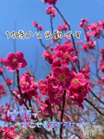 甲府デリヘル甲府人妻隊(コウフヒトヅマタイ) あんり(40)の2月25日写メブログ「ゆきゆき～」