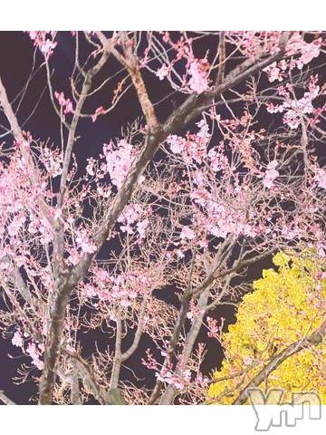 甲府デリヘル甲府人妻隊(コウフヒトヅマタイ) あんり(40)の3月18日写メブログ「カキカキ_φ(･_･」