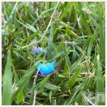 甲府デリヘル甲府人妻隊(コウフヒトヅマタイ)あんり(40)の2024年1月28日写メブログ「おやすみなさい」