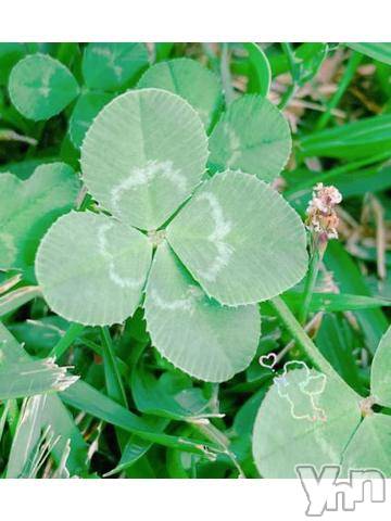 甲府デリヘル甲府人妻隊(コウフヒトヅマタイ)あんり(40)の2024年1月28日写メブログ「おはよう～」