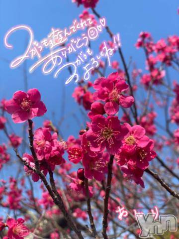 甲府デリヘル甲府人妻隊(コウフヒトヅマタイ)あんり(40)の2024年2月29日写メブログ「今月もありがとうございました」