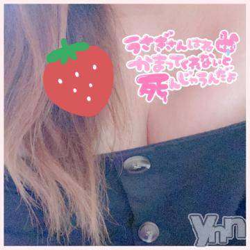 甲府デリヘル甲府人妻隊(コウフヒトヅマタイ)あんり(40)の2024年3月19日写メブログ「おはよう～」