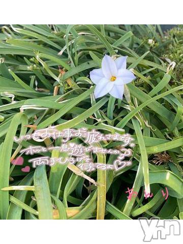 甲府デリヘル甲府人妻隊(コウフヒトヅマタイ)あんり(40)の2024年3月28日写メブログ「29日17時から～」