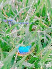 甲府デリヘル甲府人妻隊(コウフヒトヅマタイ) あんり(40)の11月25日写メブログ「おはよう～」