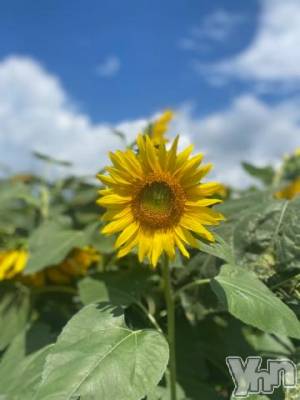 甲府デリヘル 甲府人妻隊(コウフヒトヅマタイ) あんり(40)の7月28日写メブログ「みんなでワイワイ」