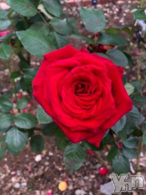 甲府デリヘル 甲府人妻隊(コウフヒトヅマタイ) あんり(40)の10月6日写メブログ「こんばんは」