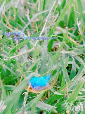 甲府デリヘル 甲府人妻隊(コウフヒトヅマタイ) あんり(40)の11月25日写メブログ「おはよう～」