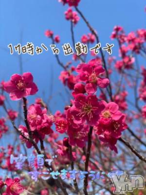 甲府デリヘル 甲府人妻隊(コウフヒトヅマタイ) あんり(40)の2月25日写メブログ「ゆきゆき～」