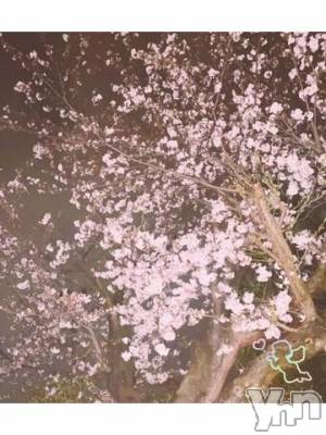 甲府デリヘル 甲府人妻隊(コウフヒトヅマタイ) あんり(40)の4月6日写メブログ「おはよう～」