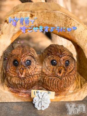 甲府デリヘル 甲府人妻隊(コウフヒトヅマタイ) あんり(40)の4月22日写メブログ「逢えたら嬉しいなぁ～」