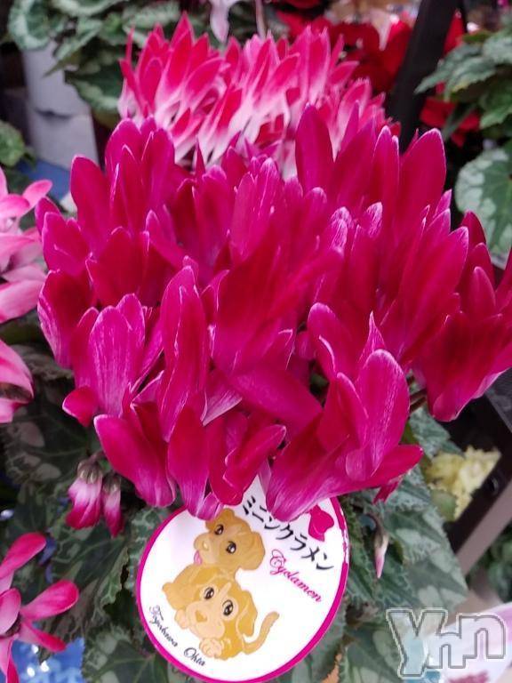 甲府デリヘルThree＆Men’s Spa 甲府(スリー＆メンズスパ コウフ) まりこスリー(60)の11月24日写メブログ「あったかいですね(^^)」