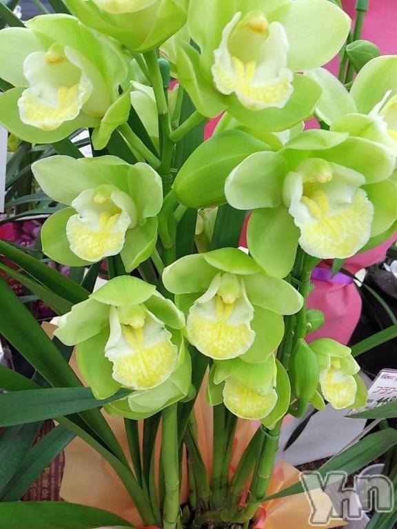 甲府デリヘルThree＆Men’s Spa 甲府(スリー＆メンズスパ コウフ)まりこスリー(60)の2025年11月24日写メブログ「ありがとう(^-^)」