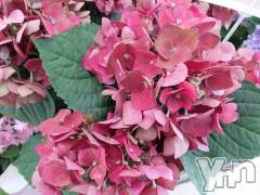 甲府デリヘルThree＆Men’s Spa 甲府(スリー＆メンズスパ コウフ) まりこスリー(60)の6月26日写メブログ「ありがとうございました(^^)」