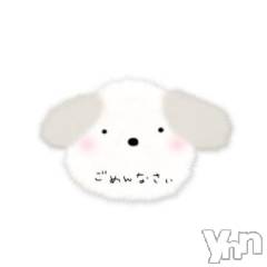 甲府デリヘルThree＆Men’s Spa 甲府(スリー＆メンズスパ コウフ) みやびスリー(48)の7月21日写メブログ「7月お休みします」