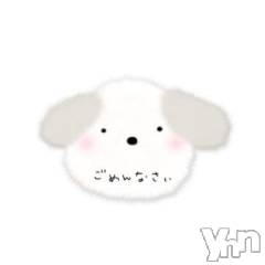 甲府デリヘルThree＆Men’s Spa 甲府(スリー＆メンズスパ コウフ) みやびスリー(48)の8月28日写メブログ「8月もお休みします」