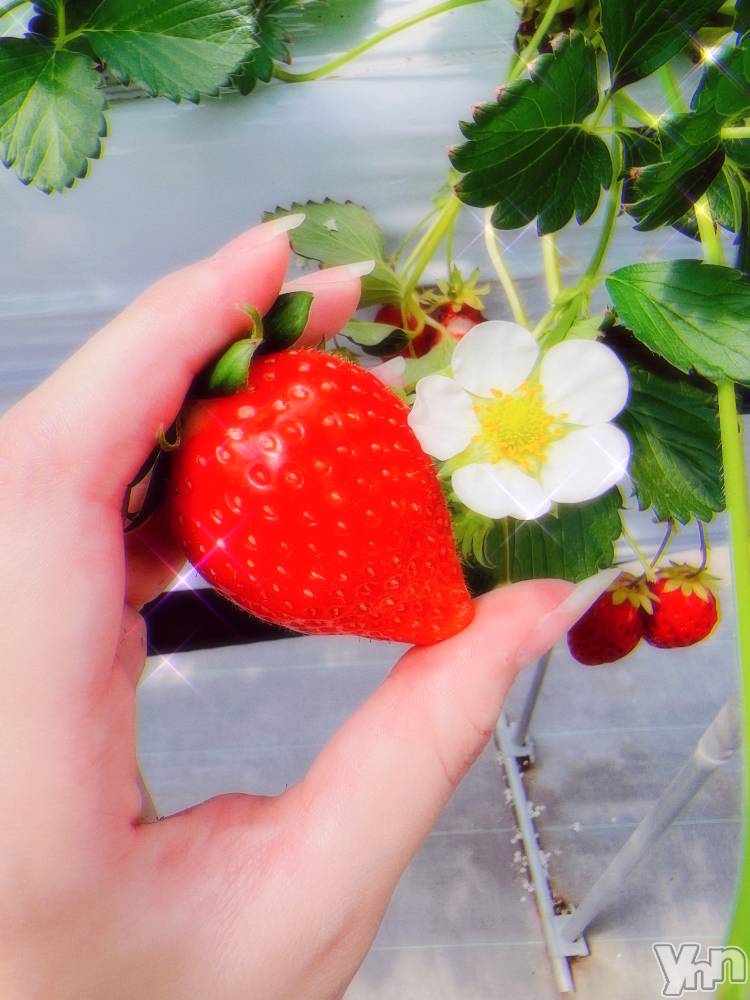 ���ܥ���Х��顦�����CLUB WONDER(����� ������) ���ʤ�5��31���̥�֥����ֵ������ϡġġ�