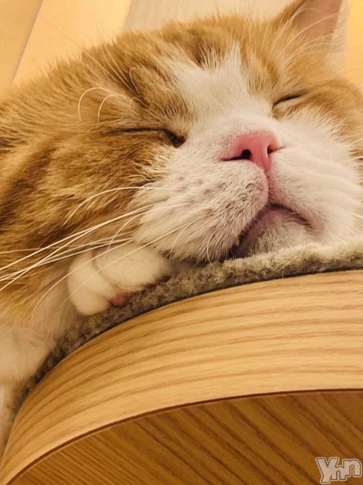 ���ܥ���Х��顦�����CLUB WONDER(����� ������) ���ʤ�9��22���̥�֥����֤��ᤢ�ᤢ�����