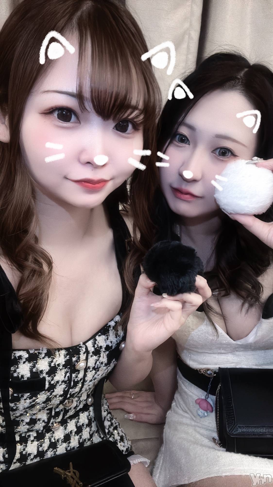 ���ܥ���Х��顦�����CLUB WONDER(����� ������) ��2025ǯ2��23���̥�֥����֤ͤ��Τ� 🐈⸒⸒⸒⸒��