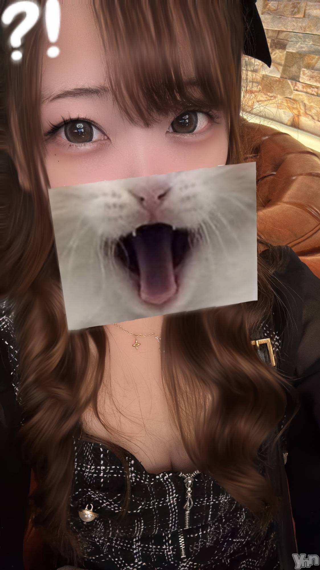 ���ܥ���Х��顦�����CLUB WONDER(����� ������) ��2025ǯ11��4���̥�֥�����🐈🐾��