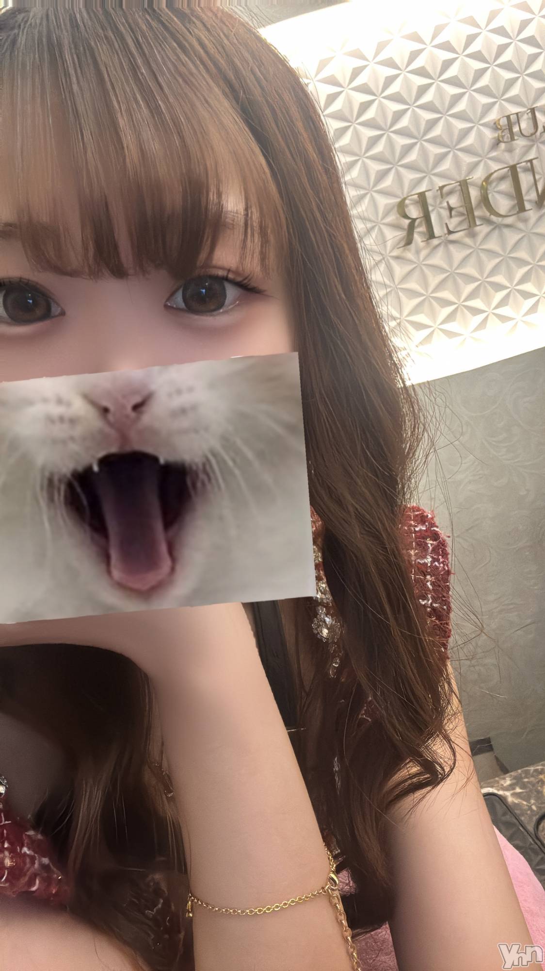 ���ܥ���Х��顦�����CLUB WONDER(����� ������) ��2025ǯ11��11���̥�֥�����wonder�ˤ������������