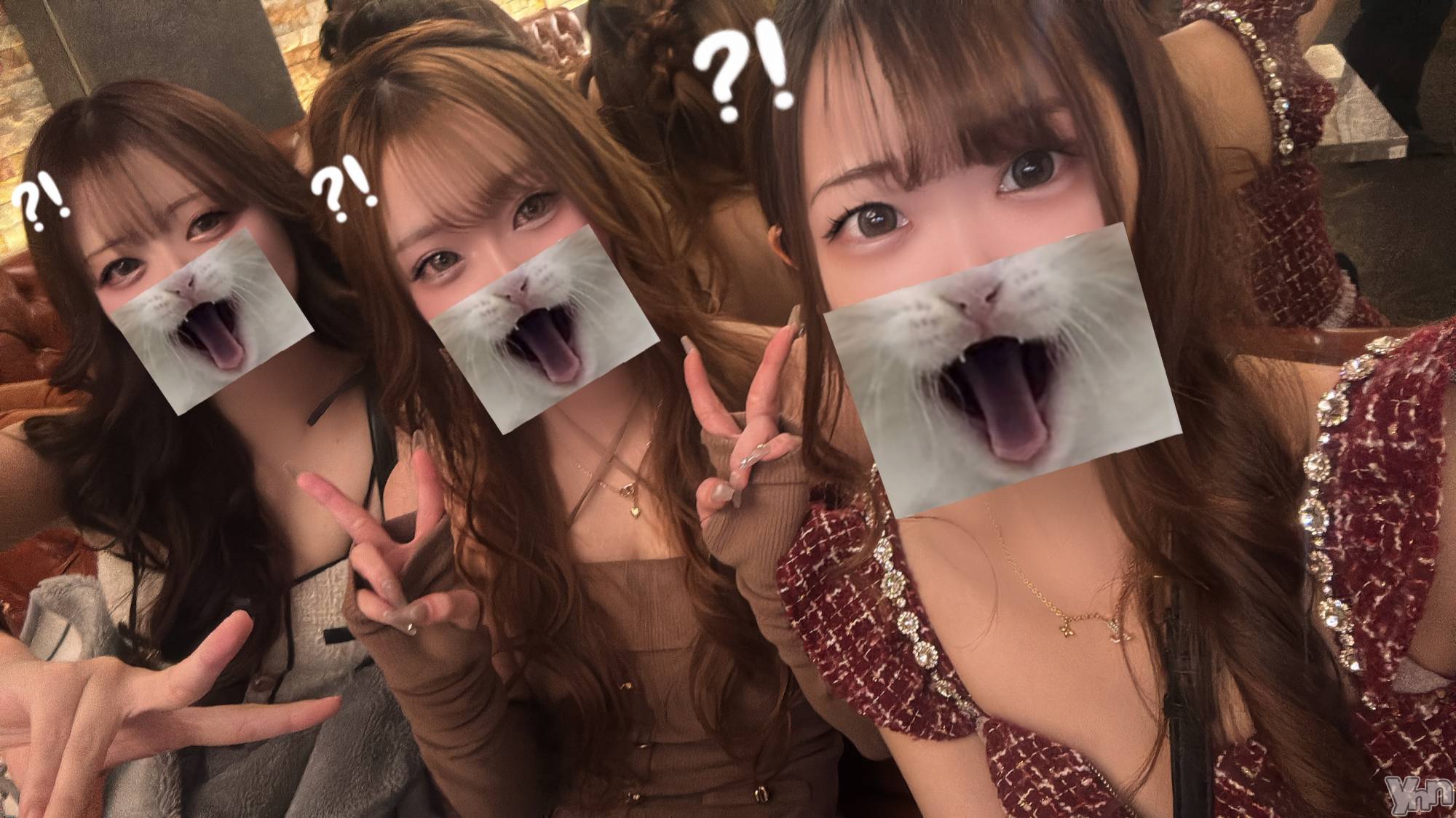 ���ܥ���Х��顦�����CLUB WONDER(����� ������) ��2025ǯ12��4���̥�֥����֤��ʤ�����������🦆��