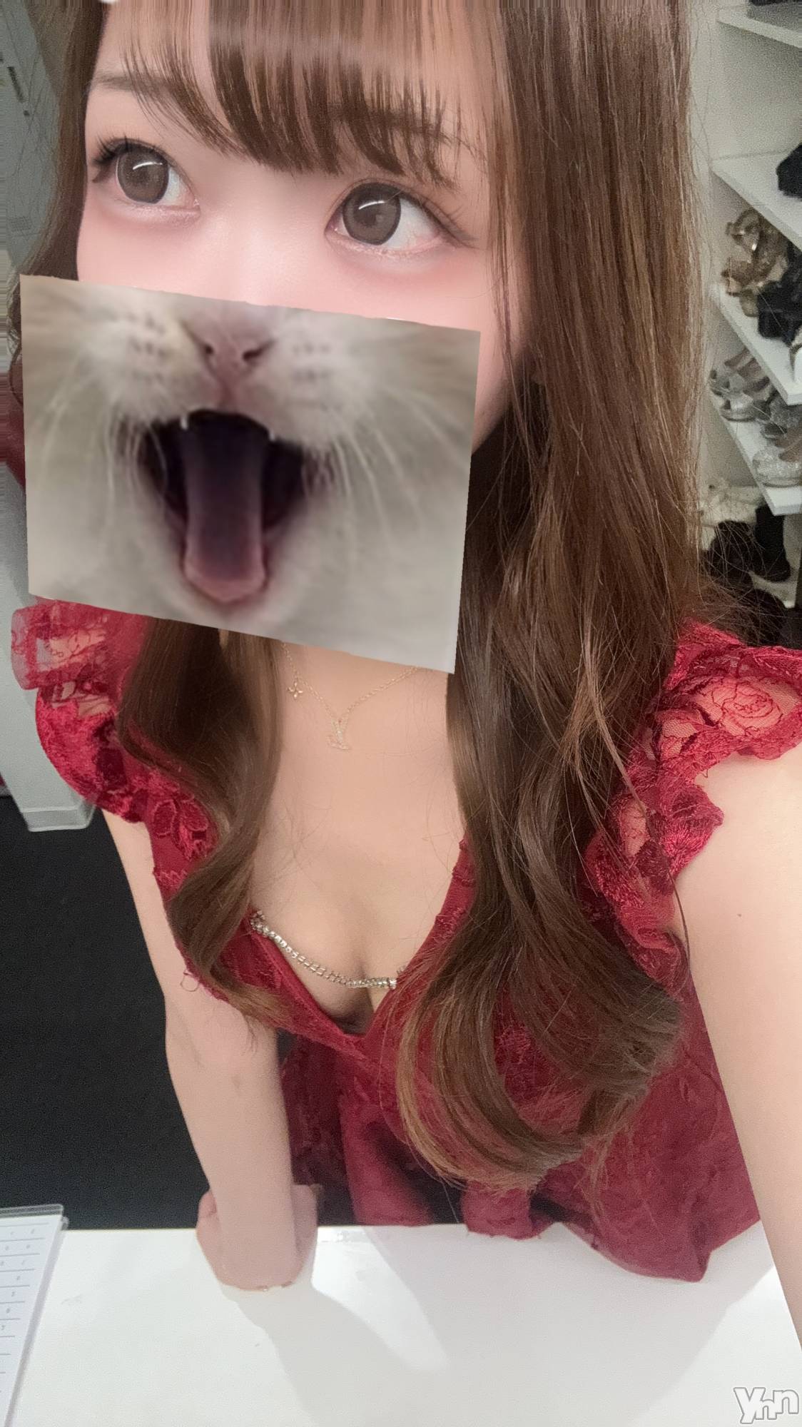 ���ܥ���Х��顦�����CLUB WONDER(����� ������) ��2026ǯ2��26���̥�֥����֤Ԥ硩������